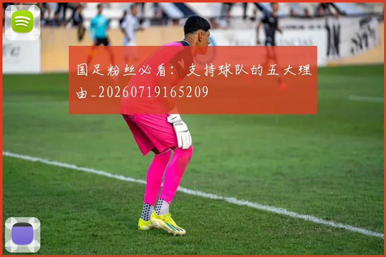 国足粉丝必看：支持球队的五大理由_20260719165209
